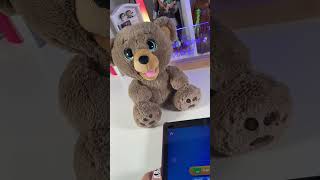 Poe the Ai Story Bear 🐻 #SkyrocketToys #PoeAIStoryBear #AItoys #RenBeanieRocks #asmr #freeproduct