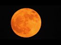 "Strawberry Full Moon" June 10th 2025 - 3 (Full Size Video)