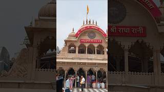 Radha Rani Lage #trendingshorts #youtubeshorts #shorts #radharani #barsana #radhabhajan #bhaktisong