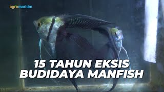 Focus on Cultivating BW Manfish: From Trial and Trial to Successfully Entering the Export Market