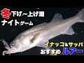 【80up降臨‼︎】冬シーバスにおすすめルアー3種‼︎