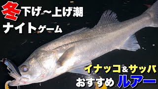 80cm+ descends!!] 3 recommended lures for winter sea bass!! - YouTube