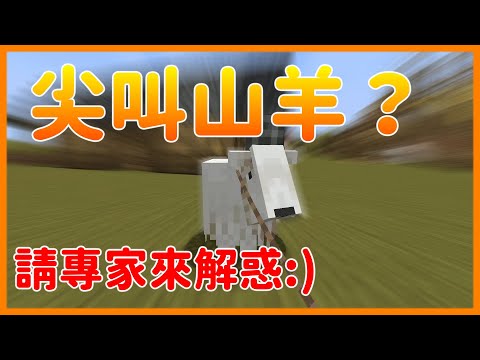 【楓麥塊】到底什麼才是尖叫山羊？請大家幫忙看看到底誰是誰？｜Minecraft 1.17(Java)