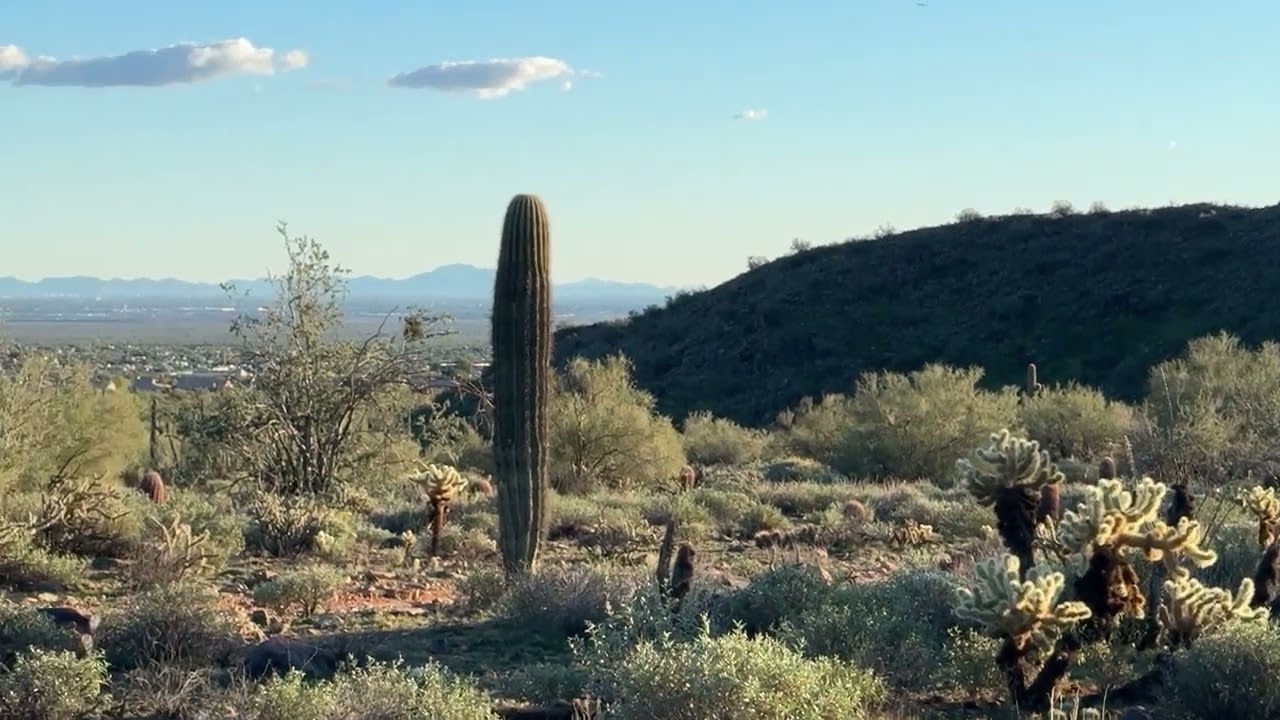 И такие прерии есть в Америке! 