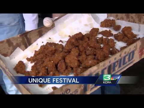 Dent Mn Testicle Festival