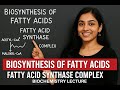 Biosynthesis of Fatty Acids | Fatty Acid Synthase Complex | Biochemistry Lecture