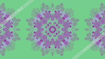 Trampled By Turtles - "I Learn the Hard Way" - Official Video