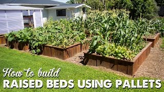 A full tutorial, including tips and tricks, on how to build raised garden beds using pallets WITHOUT having to dismantle the pallets 