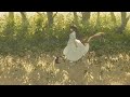 月追いの都市〜canoue ver.〜 / 歌:霜月はるか (Vietsub)
