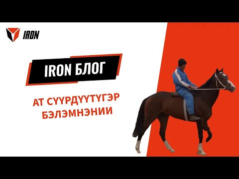 видео: IRON БЛОГ| АТ СҮҮРДҮҮТҮГЭР БЭЛЭМНЭНИИ🏇🏻🏆