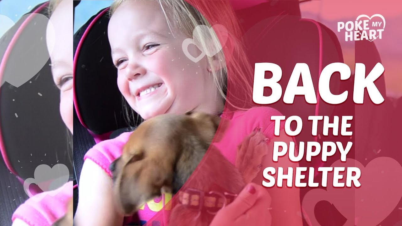 Sisters Upset After Leaving Puppy at Animal Shelter YouTube