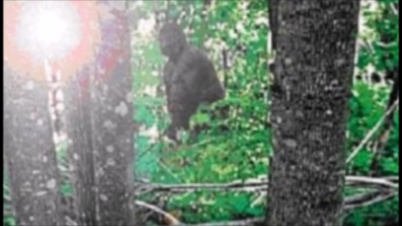 Bigfoot near Beaumont Texas YouTube