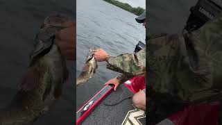 Catch, photo, release.. Pb=6.17lb hope someone else can catch and do the same. 👍 🐟 💋