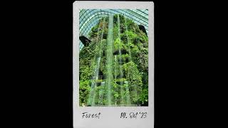 Forest Lo-fi & Deep House Mix