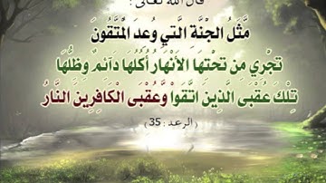 تلاوة مؤثرة  الذيـن يأكلون الربا