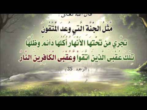 تلاوة مؤثرة الذين يأكلون الربا