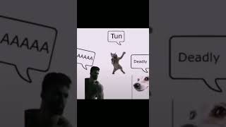 Sus Dog Gigachad And Babe Please Stop Singing Aaaa Murder Murder In My Mind With Dancing Cat