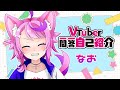【自己紹介】Vtuber一問一答自己紹介【なお(\#ぱどこん)】