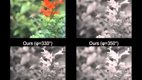 Enhancing by Saliency-guided Decolorization - CVPR 2011