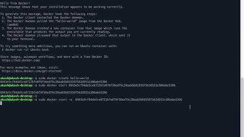 Docker Run Command  use