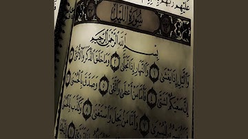 عامر الكاظمي سورة الليل