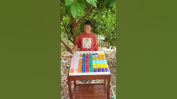 Color Ball Sort Puzzle Game Let