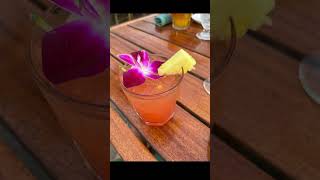 Summer Is Finally Herecommeny Below What Your Summer Plans Are