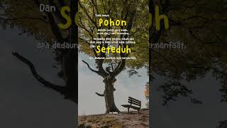 Pohon Tidak Selalu Tentang Bunga motivasi motivasidiri motivasihidup  viral viralshort