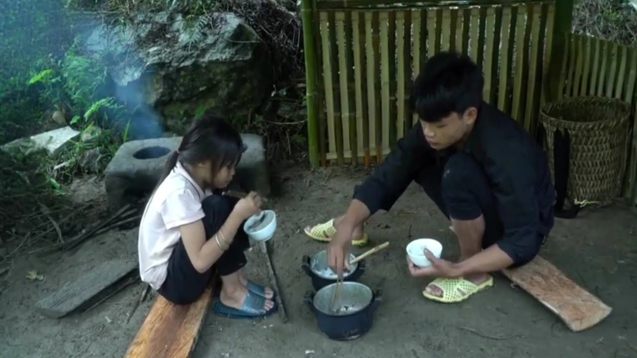 The poor boy and girl went to pick figs to sell and cook - Ly Ton Quang