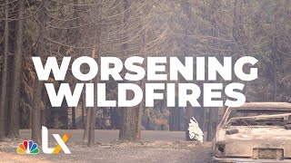 As Wildfire Season Gets Longer, Residents of At-Risk Areas Face a Hard Choice | NBCLX