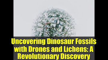 Uncovering Dinosaur Fossils with Drones and Lichens: A Revolutionary Discovery