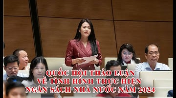 Quốc hội thảo luận về tình hình thực hiện ngân sách nhà nước năm 2024