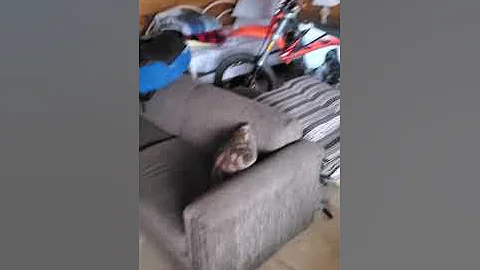 confidence