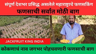 संपूर्ण देशभर प्रसिद्ध असलेले महाराष्ट्राचे फणसकिंग |फणसाची बाग | jackfruit king india|nursery|kokan