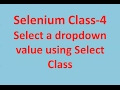 selenium select class