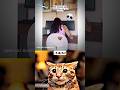 DECEMBER FOOL Trending Latest 4K SHORTS OHIO CAT BOMBASTIC