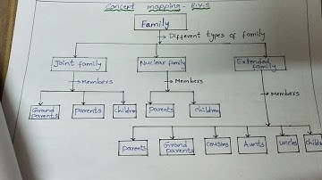 Concept mapping on EVS -Family