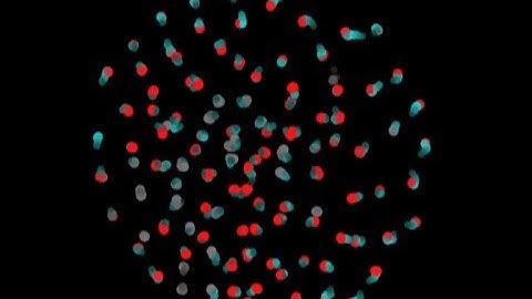 Digital zebrafish embryo