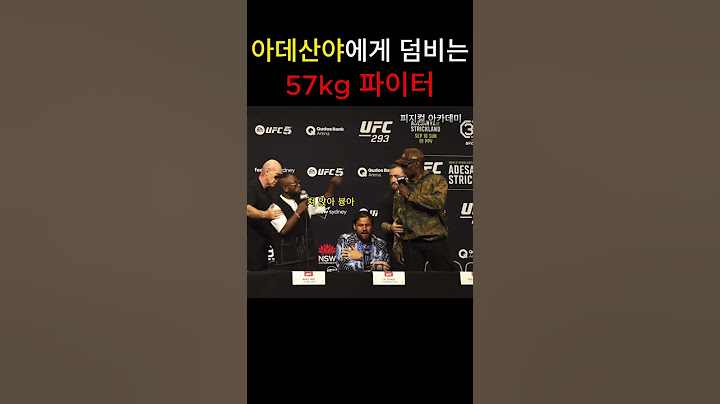 아데산야 상대로 쫄지않는 플라이급 파이터 (ufc293 기자회견)
