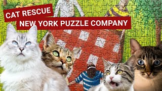 Time Lapse The New Yorker Cat Rescue New York Puzzle Company 1000 Pieces