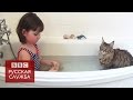 Как кошка помогла девочке с аутизмом