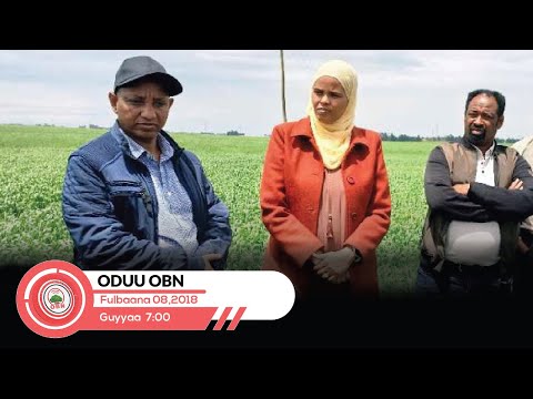 Oduu Guyyaa Sa Aatii 7 00 OBN Fulbaana 08 2018