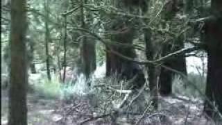 Trailer Camel Spider 4