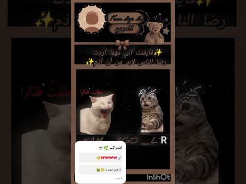 ف كتب أيقنت وخلي الكيبورد يكمل شلتنا اكسبلور ايقنت ترند تحشيش ضحك كرتون لايك 