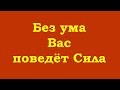 Без ума Вас поведёт Сила – самым лучшим способом