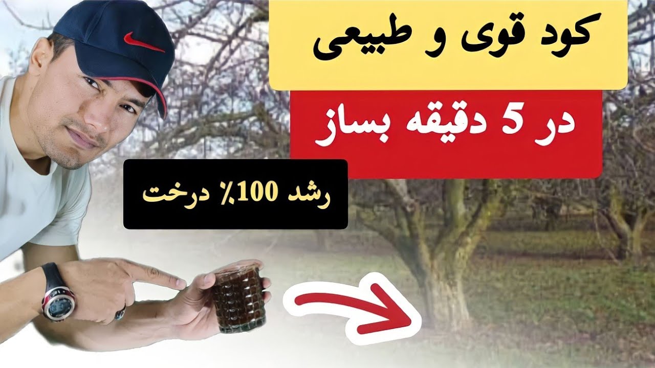 این کود خانگی در پنچ دقیقه ساخته شده و رشد درختان را چند برابر میکند. بدون هزینه و آسان