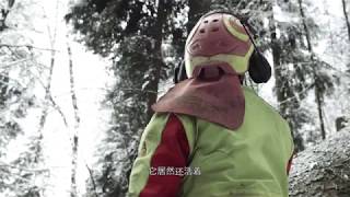 在林间 - Ins Holz - In The Woods - With Chinese Subtitles