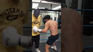 Stable Ronaldo and JasonTheWeen Boxing Strategy