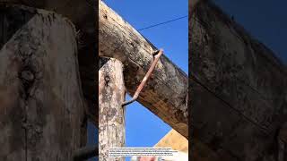 Smart Wooden Roof Frame Support Technique | Traditional Roof Structure Assembly Process.