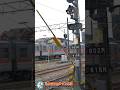 【踏切 電車】なにが通るかな???【ふみきりショート動画268】 #shorts